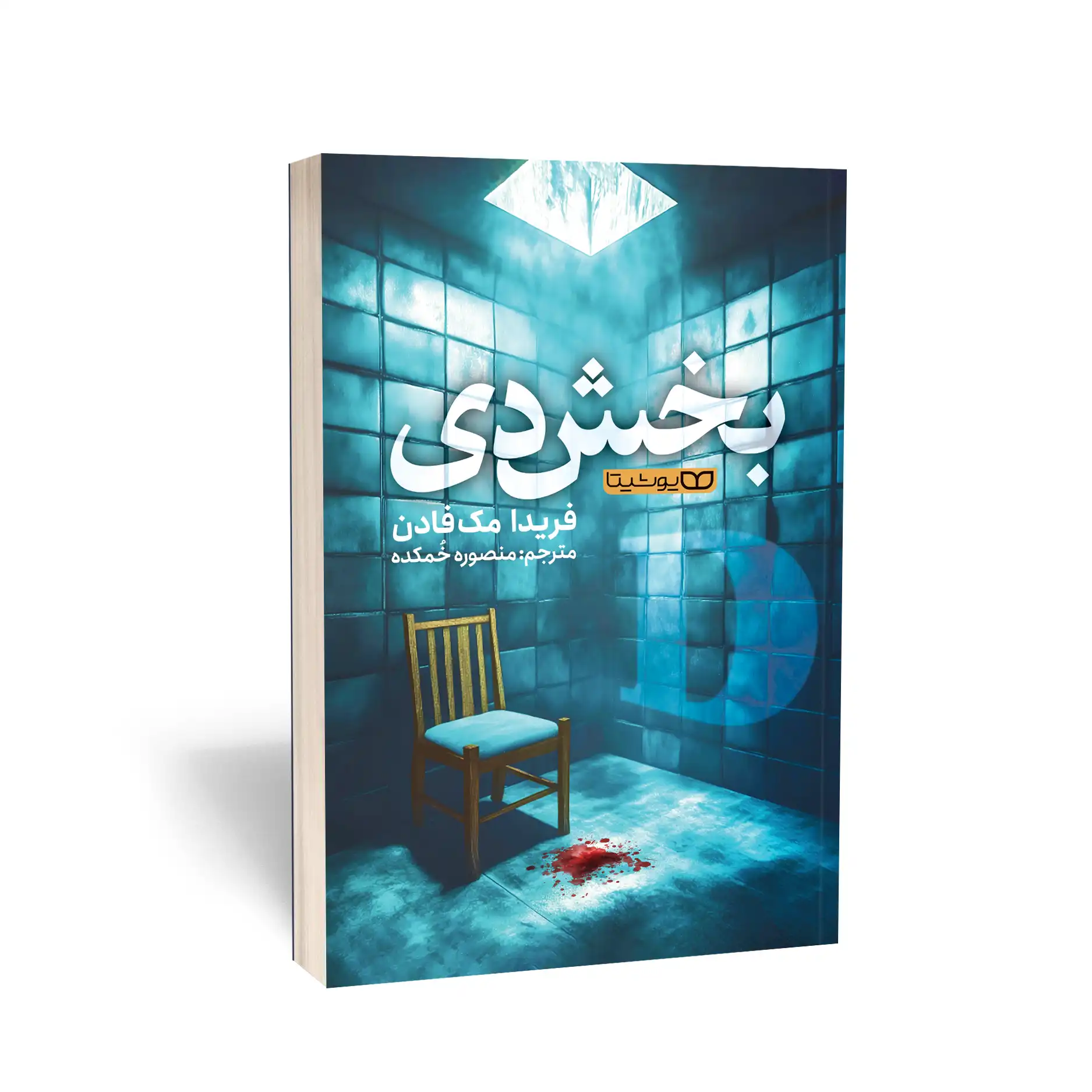 بخش دی